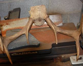 Antlers 
