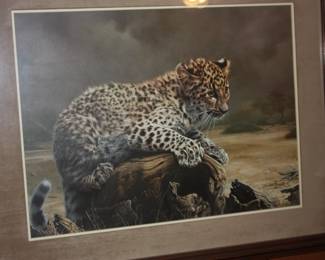 Mat/framed Leopard cub Charles Frace  16/4000