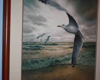 Matted/framed picture of sea gulls in flight  Charles Frace  32 x 25