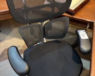 Ergonomic Desk Chair
