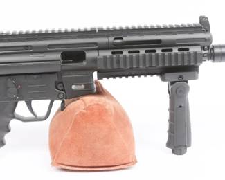 GSG GSG-16 Rifle .22 LR