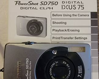 Point and shoot camera