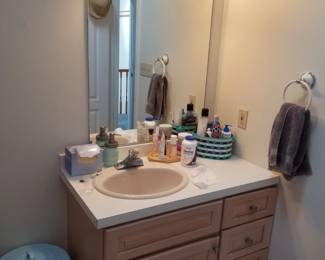 Bath vanity; mirror; vanity lights