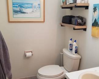 Floating shelves; toilet