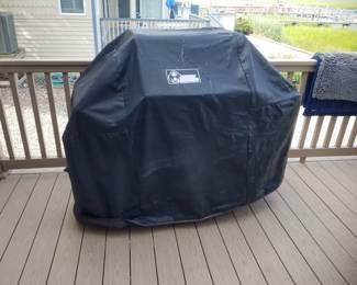 Weber Spirit grill