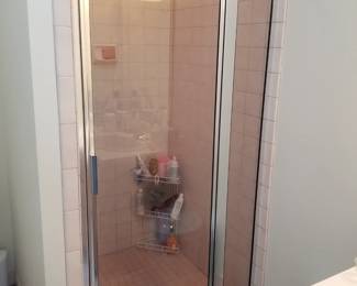 Shower door