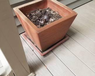 Pot
