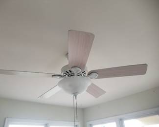 Illuminated ceiling fan