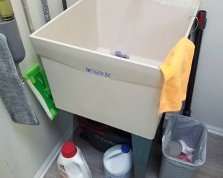 Laundry sink