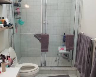 Glass shower doors
