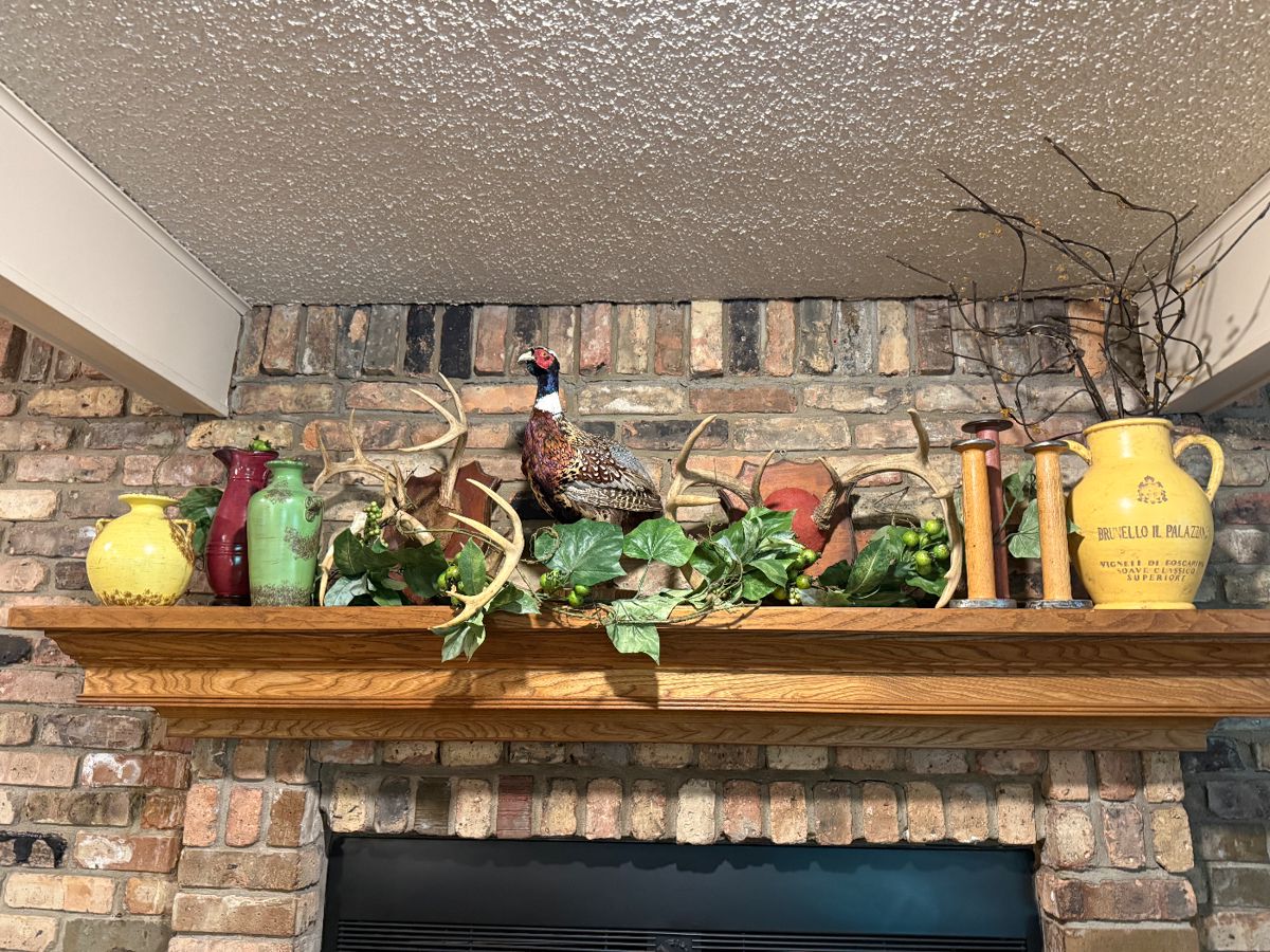 Great horns and pheasant