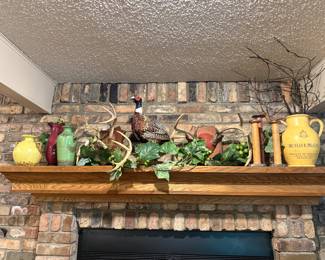 Great horns and pheasant