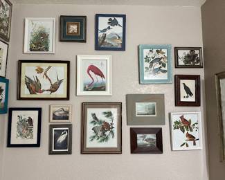 Bird art