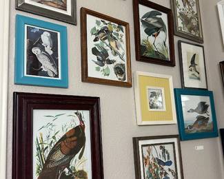 Bird art
