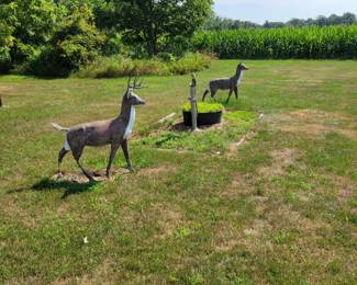 Heavy deer