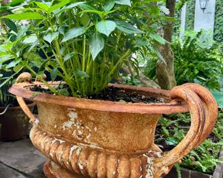 Cast iron urn planters