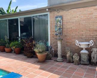 Patio plants and decor