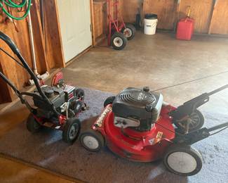 Edger and gas push mower. Both in great working condition