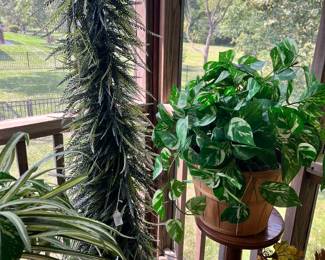Wait until you see the garden extravaganza!