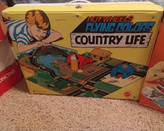 Hot Wheels Flying Colors Country Life case