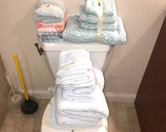 Items Located In The Sauna In The Finish Lower Level