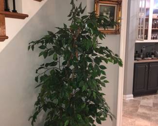 Items Located In The Living Room
