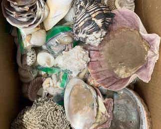 BO316Shell Mystery Lot