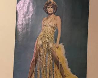 Vintage poster of Ann-Margaret...