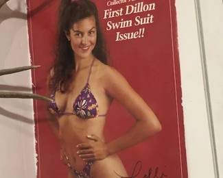 Vintage Dillon Poster