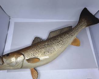 2 SpeckledSeatroutTaxidermy