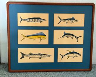 198 6HandDrawnFishMattedinWoodFrame