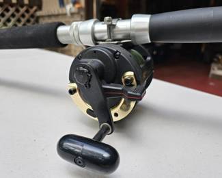 113 CompleteBigGameFishingSetup
