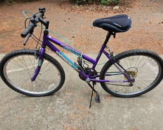 103 RoadmasterMtFury15SpeedMountainBike