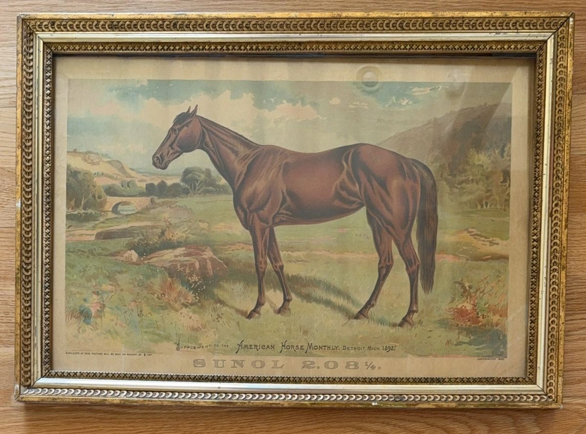 American Horse Monthly 1892 Framed Art