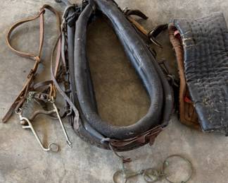 Vintage Horse Tack