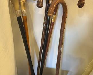 Collection of canes and walking sticks