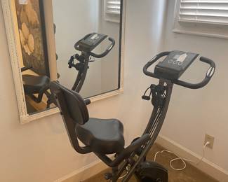 Stationary bike with white painted mirror
