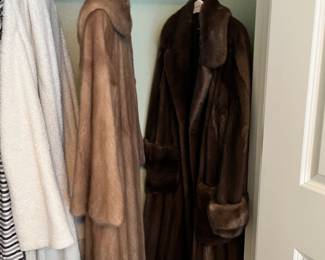 Ladies Furs
