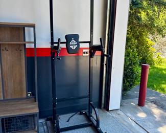 34 SportsroyalsPowerTowerPullUpDipStation