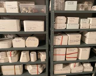 Millions of Doll Molds!