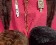 Fancy Belts And Pelts