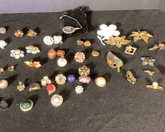 Vintage Costume Earrings Pins