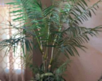 Plants R Us