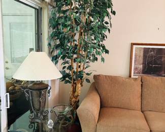 Partial sun and daily watering.