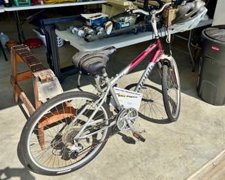 Used by a nice girl named Dorothy to carry her dog.