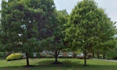 Newtown Square