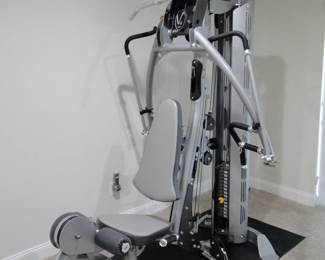V4 Elite Hoist Gym ($1,000) can sell beforehand