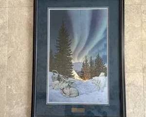 "Aurora" by Scott Kennedy 1992