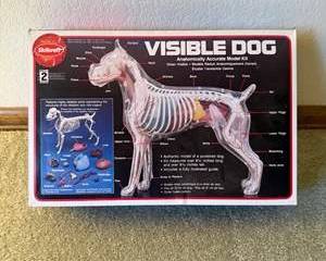VISIBLE DOG Anatomically Accurate Model Kit - Brand New