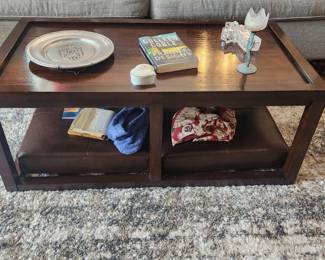 Coffee Table with Removable Cushions